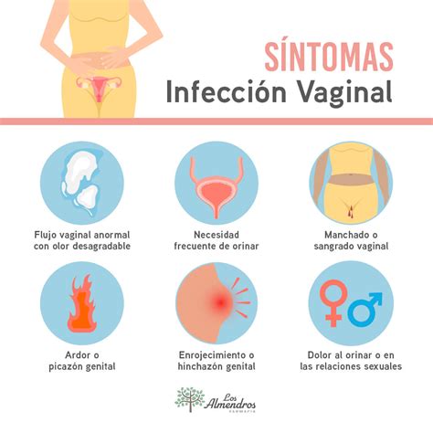 Infecciones vaginales: síntomas, tipos, causas y。